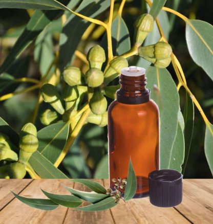 Olio essenziale eucalipto 15ml