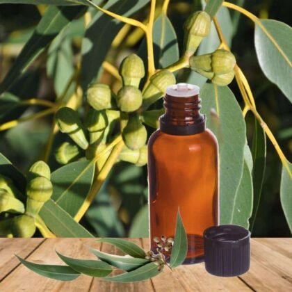 Olio essenziale eucalipto 15ml