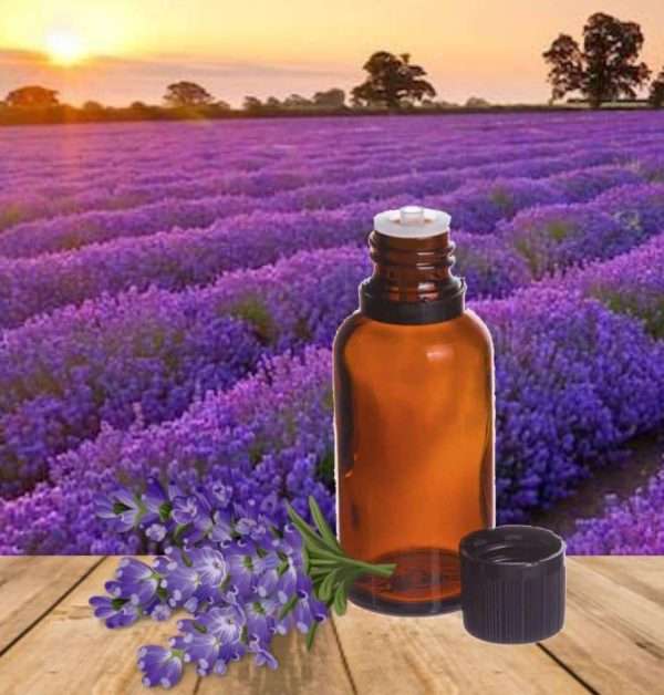 Olio essenziale lavanda 15ml