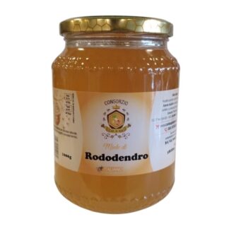 Home 41 Miele di Rododendro italiano 1kg